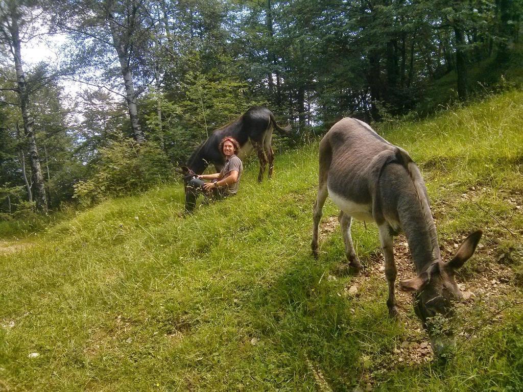 B&B Casabasoti Valli del Pasubio Esterno foto