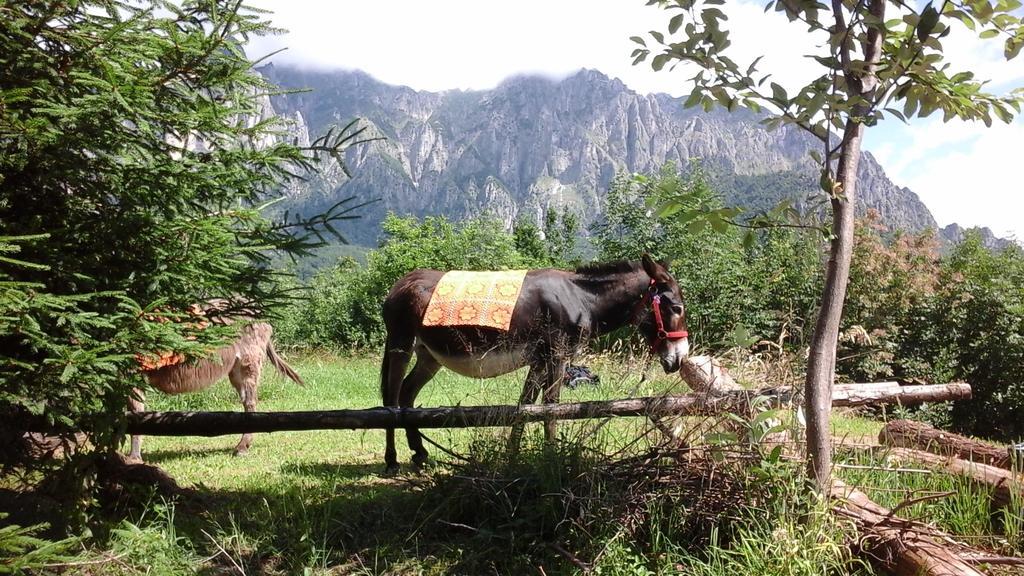 B&B Casabasoti Valli del Pasubio Esterno foto